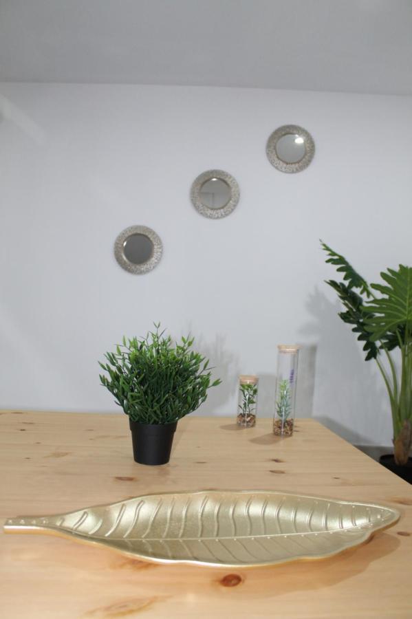 Apartamentos Los Nidillos لاس بالماس دي غران كاناريا المظهر الخارجي الصورة